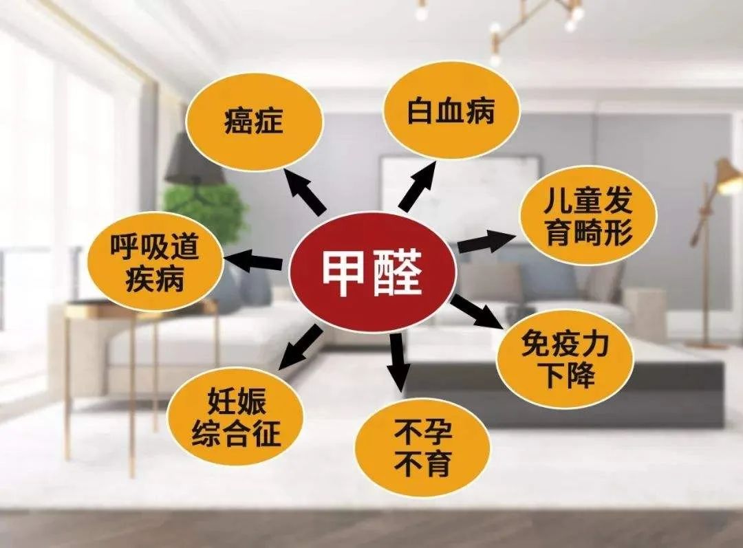 疫情當(dāng)下，更要把家打造成健康的堡壘(圖4)