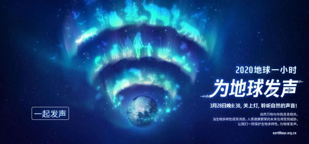 環(huán)保進(jìn)行時(shí) | 華洲木業(yè)，用行動(dòng)為地球發(fā)聲(圖1)