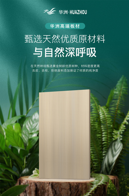 華洲專注板材，更關注健康(圖3)