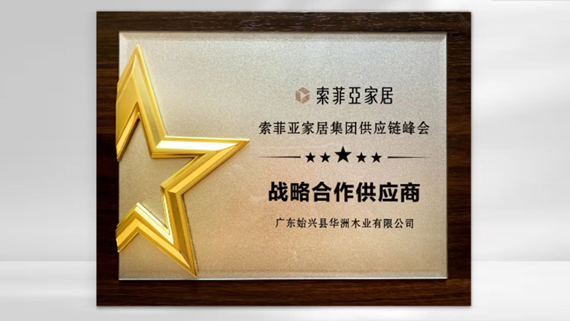【品牌實力】華洲：創(chuàng)新引領(lǐng)，品質(zhì)鑄就傳奇(圖5)