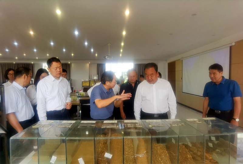 廣東省政協(xié)領導一行蒞臨始興華洲木業(yè)調研考察(圖3)