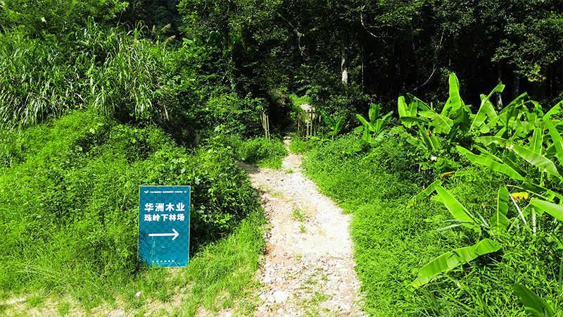 嚴格選材，只為一張好板材！(圖1)